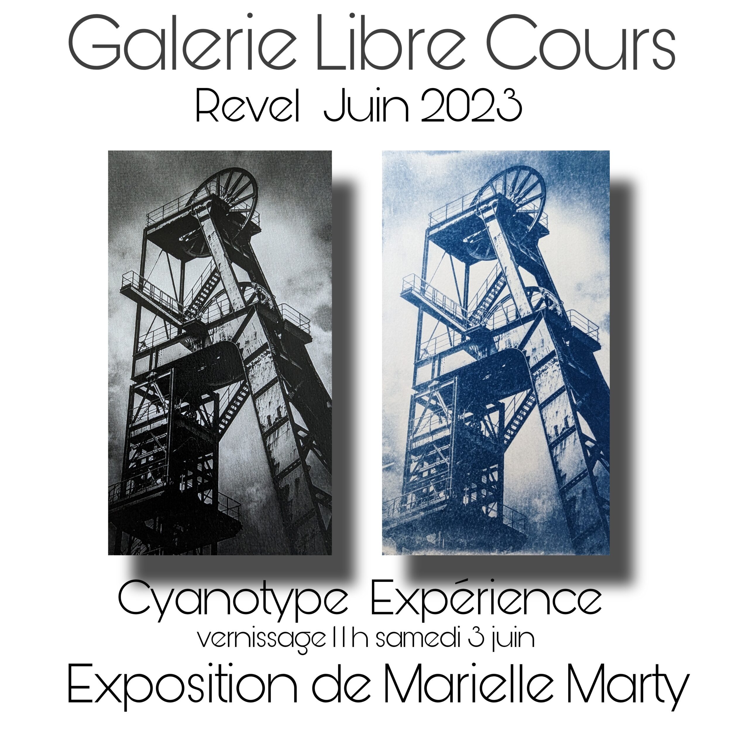 Lire la suite à propos de l’article Marielle Marty